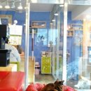 북악동물병원 이미지