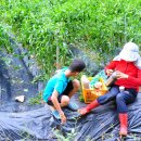 형래농장 이미지