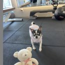 젠틀레이디짐 PT&필라테스 청라점 이미지