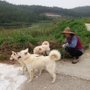 운동농장 이미지