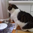 간식시간 이미지