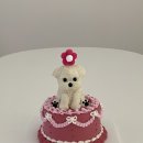 포마이댕 이미지