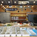 다시또사천 이미지