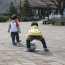 열린행정사사무소 이미지