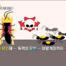 수창환경개발