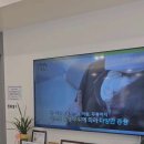 고려더튼튼정형외과재활의학과의원 이미지