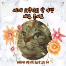 Be IN;(비인) 이미지