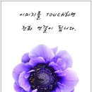 킴즈공인중개사사무소 이미지
