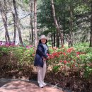 제38차 영전초등학교 총동창회 이미지