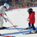 골든킥 태권도 이미지