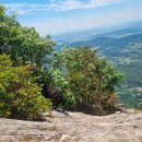 국사봉 흑염소 이미지