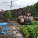 김녕안트레 이미지