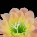 노래공원 이미지