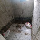 터골 | 천안 숮불 쭈꾸미 터골 천안욕실리모델링 천안타일 스타일시공 후기