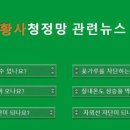 고려인성태권도 이미지