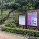 수리산도립공원 매쟁이골(입구) | 아침걷기 - 수리산도립공원 둘레길 - 참나무잎혹벌, 노루오줌 - [2025.07.21]