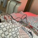 도래울부부한의원 이미지