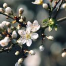 다선한의원 이미지