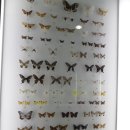 성신여자대학교 자연사박물관 이미지