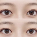 퇴계타운상가 | 춘천 속눈썹펌 맛집 매치브로우 솔직 추천후기