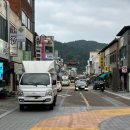 맘모스치킨호프 이미지