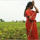 영문농장 이미지