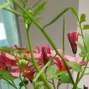레드사 - 전주시 완산구 꽃밭정로 18 | 레드사