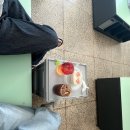 카페가미
