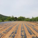 귀촌공인중개사사무소 이미지