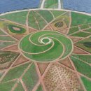 대교 태양광발전소 이미지