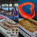 지구촌 | 취사 가능한 고양 수영장 삼송 지구촌수영장 야간개장 후기