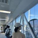 일봉모텔 | 학기 도중 가는 도쿄여행