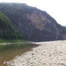 정희농박 이미지