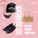 [이벤트/차차부티크] 벚꽃 시즌 명품 아이템으로 코디하기, 봄맞이 신상 세일