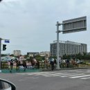 [ 제주도 4박 5일 ] DAY2. 비 오는 날 제주 한 바퀴 ( feat. 블루보틀, 천지연폭포 )