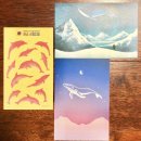 멍냥이네 구멍가게 | [서디페] 2018 여름 서금페 ∙ 멍냥페 후기