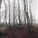 아트피아 골프클럽 이미지