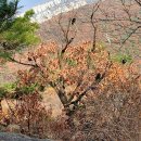 휴커피 - 미추홀구 인주대로 442-1 | 휴커피