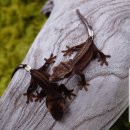 대박슈퍼 이미지