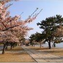 해군사관학교 박물관 이미지
