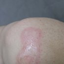 해미참의원 이미지