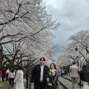 진해역 | [창원, 진해] 진해역 근처 밥집 게장 맛집 남도밥상 내돈내산