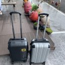 메밀꽃일다 이미지