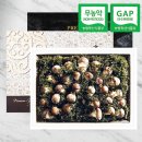 농업회사법인(주)이팜스 이미지