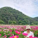 방량로농장 네이버블로그