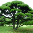 백양농장 이미지