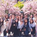 [백석]체스&보드게임지도사 이미지