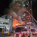 대원청과 이미지