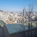 관음초등 이미지