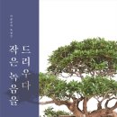 드리우다